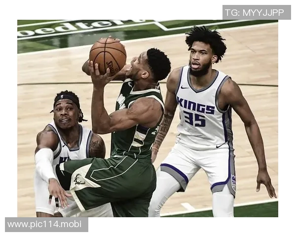 野猫官方:亨斯霍尔和温德勒缺席对阵国王 野猫官方:亨斯霍尔和温德勒缺席对阵国王